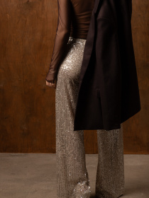 Штани повсякденні Famo модель BR-403_02 Фото