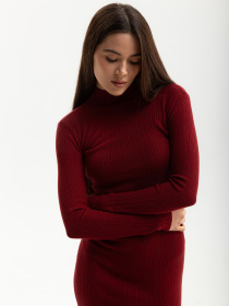 Сукні Famo модель PLA-231035_04 Фото