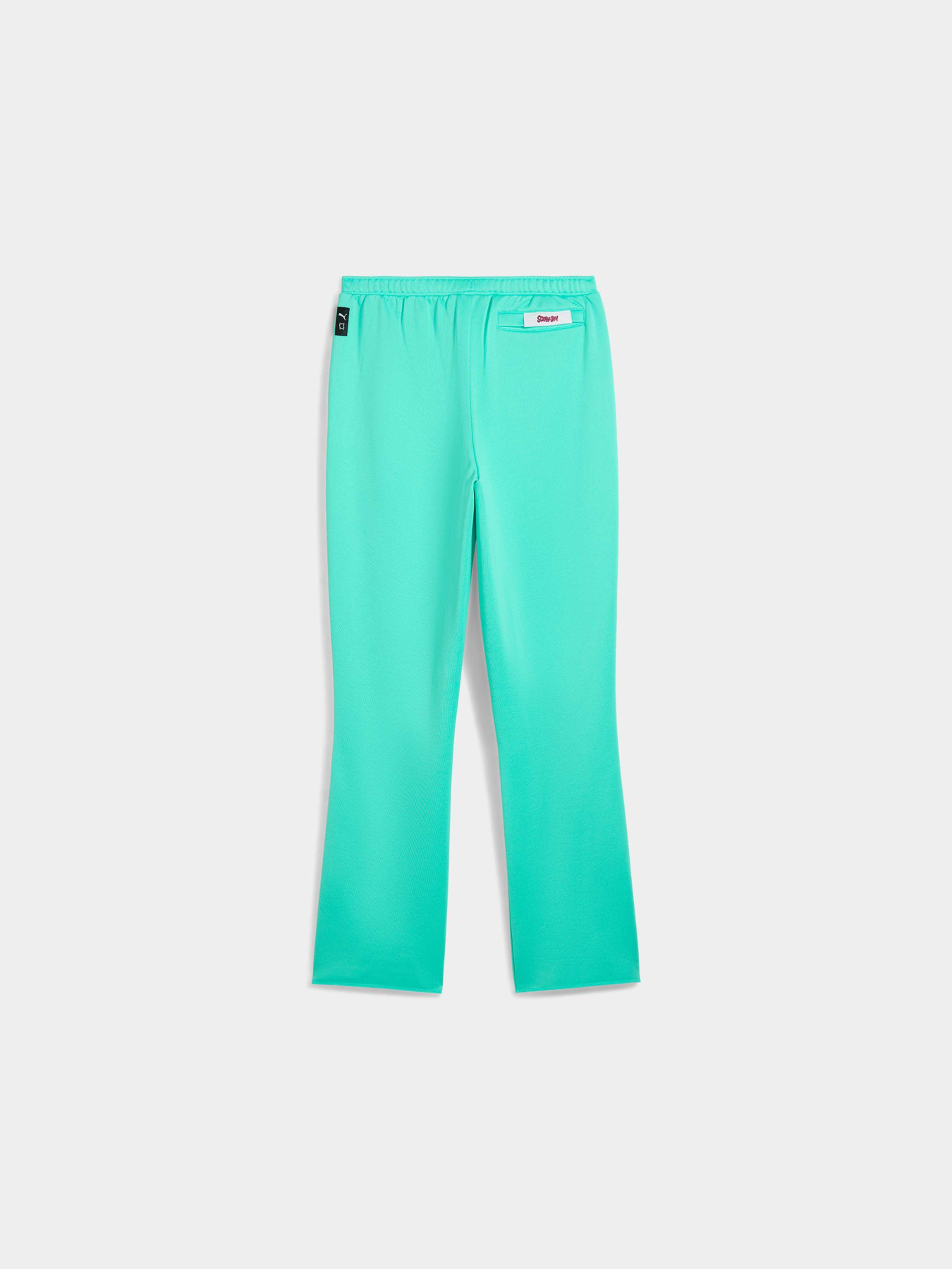 Штаны спортивные PUMA Hoops x Scooby Doo Pant модель 630373 Фото