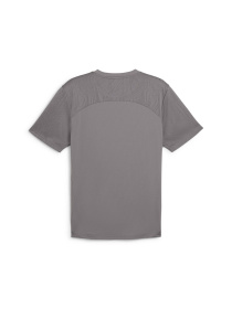 Спортивная футболка PUMA Fcsd Training Jersey Pro модель 777853 Фото