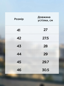 Кроссовки повседневные Arber модель M30.23.09.411 Фото