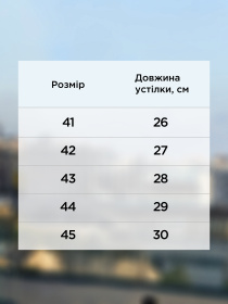 Кеды низкие Arber модель M30.34.00.411 Фото