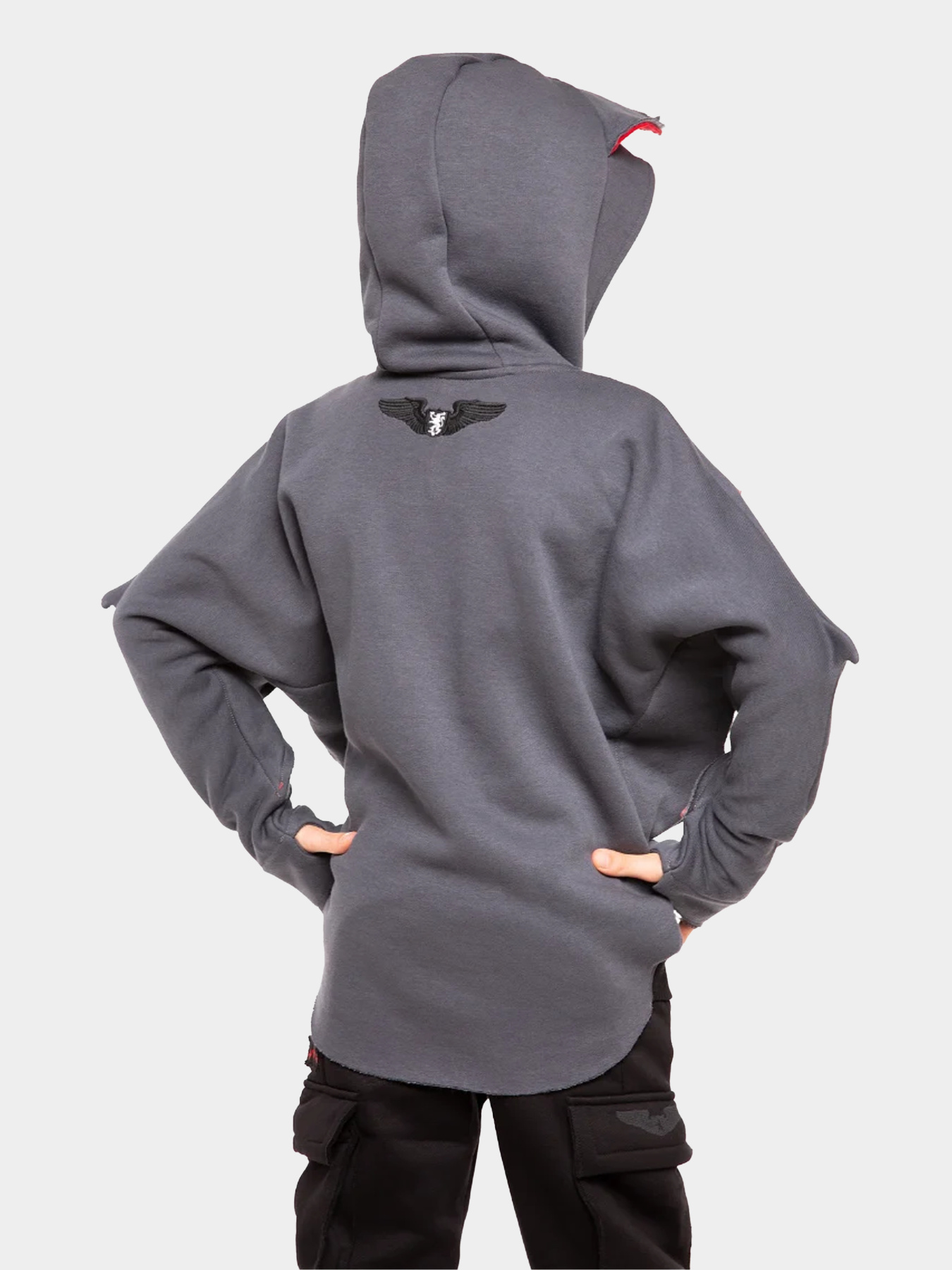 Худи Авіація Галичини модель 000006808-1 Фото