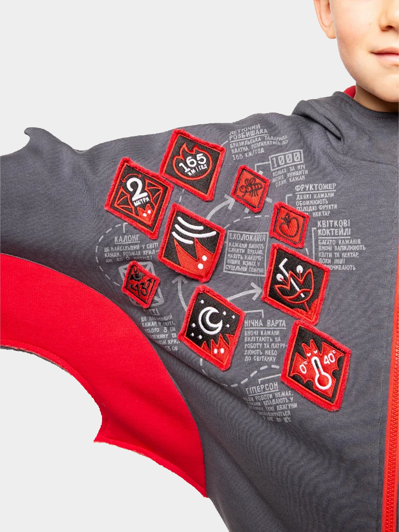 Худи Авіація Галичини модель 000006808-1 Фото