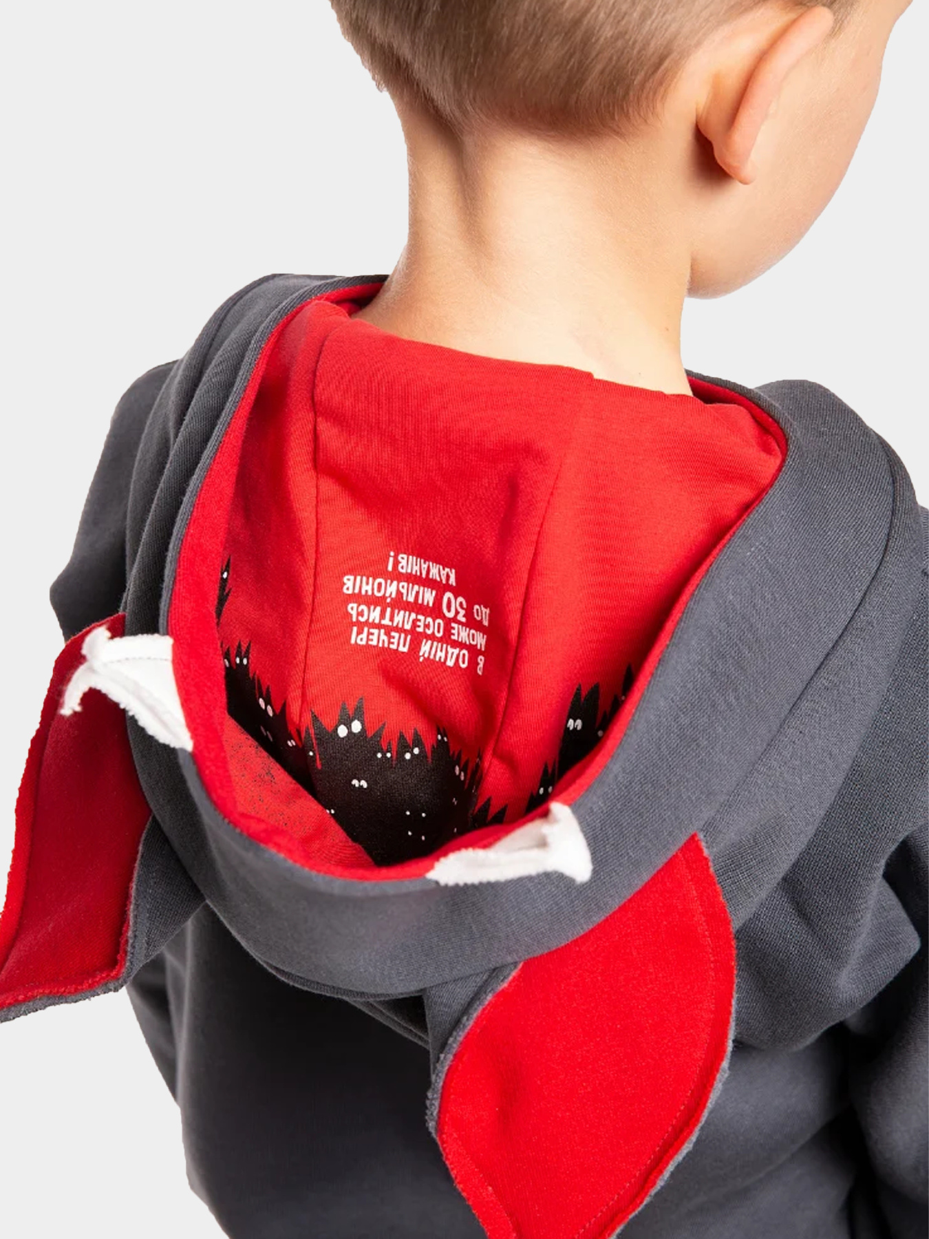 Худи Авіація Галичини модель 000006808-1 Фото