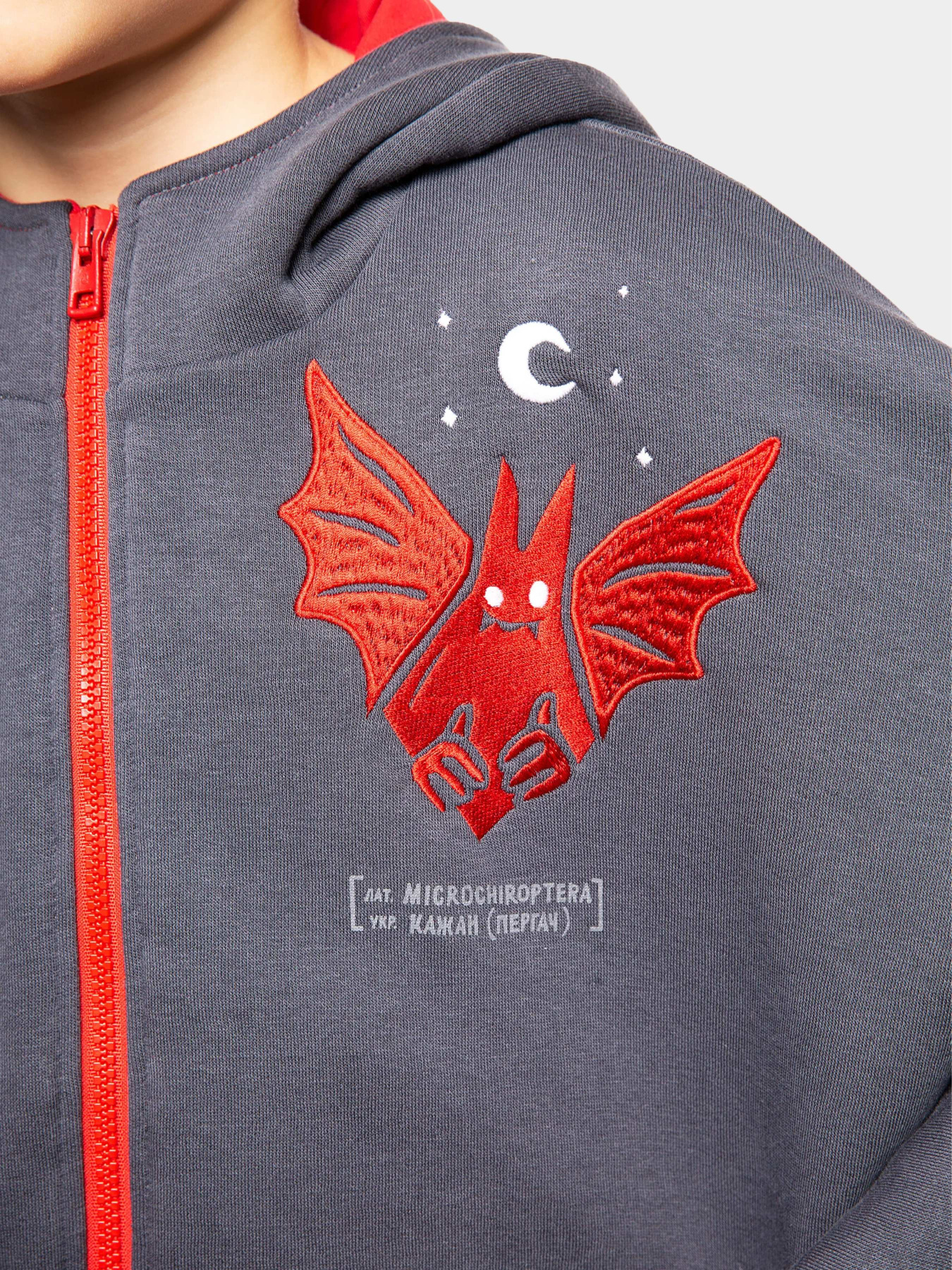 Худі Авіація Галичини модель 000006808-1 Фото