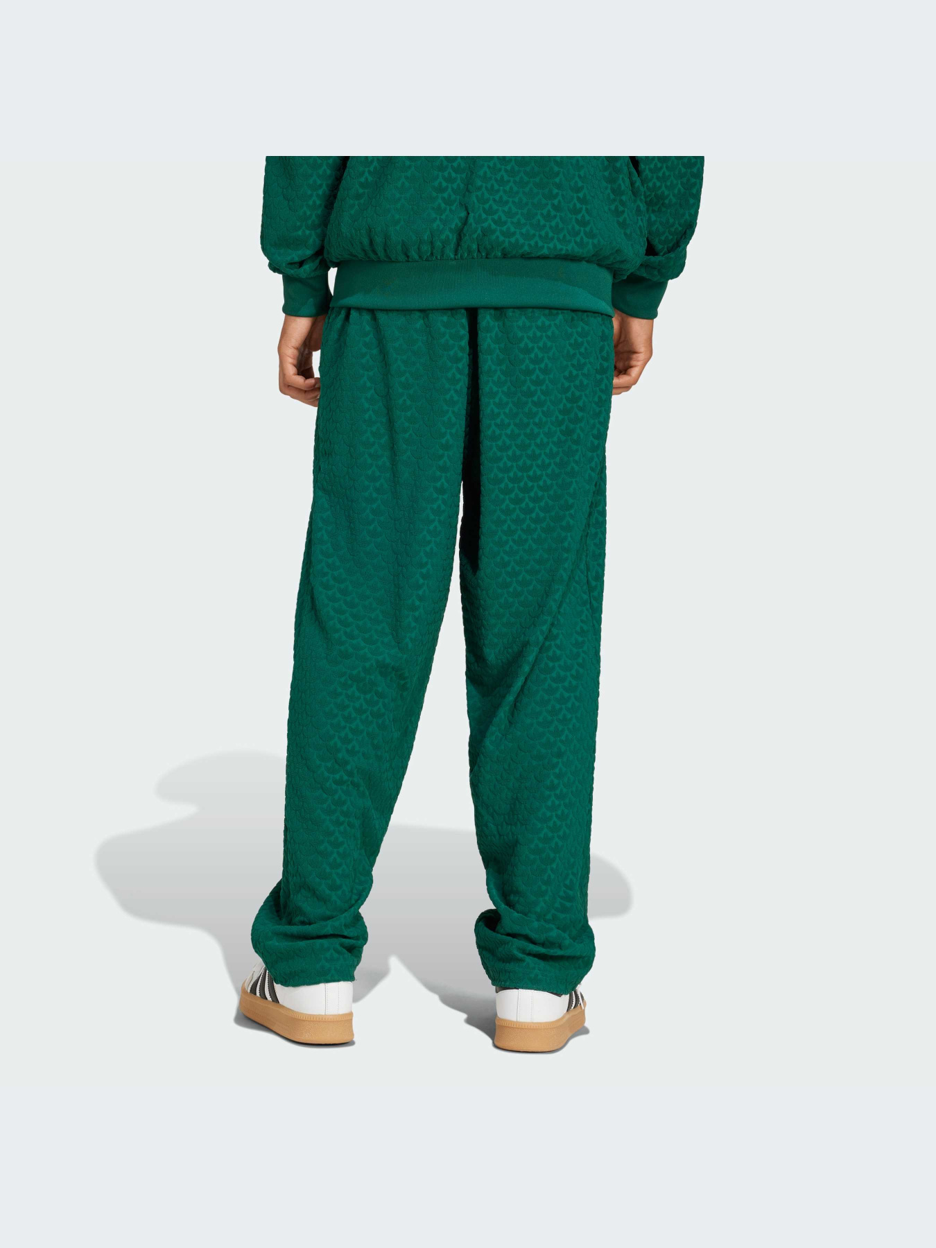 Брюки Adidas Graphics модель JD0699-KZ Фото