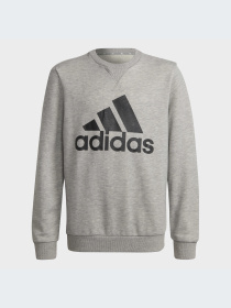 Худи и свитшоты Adidas модель GS4273-KZ Фото