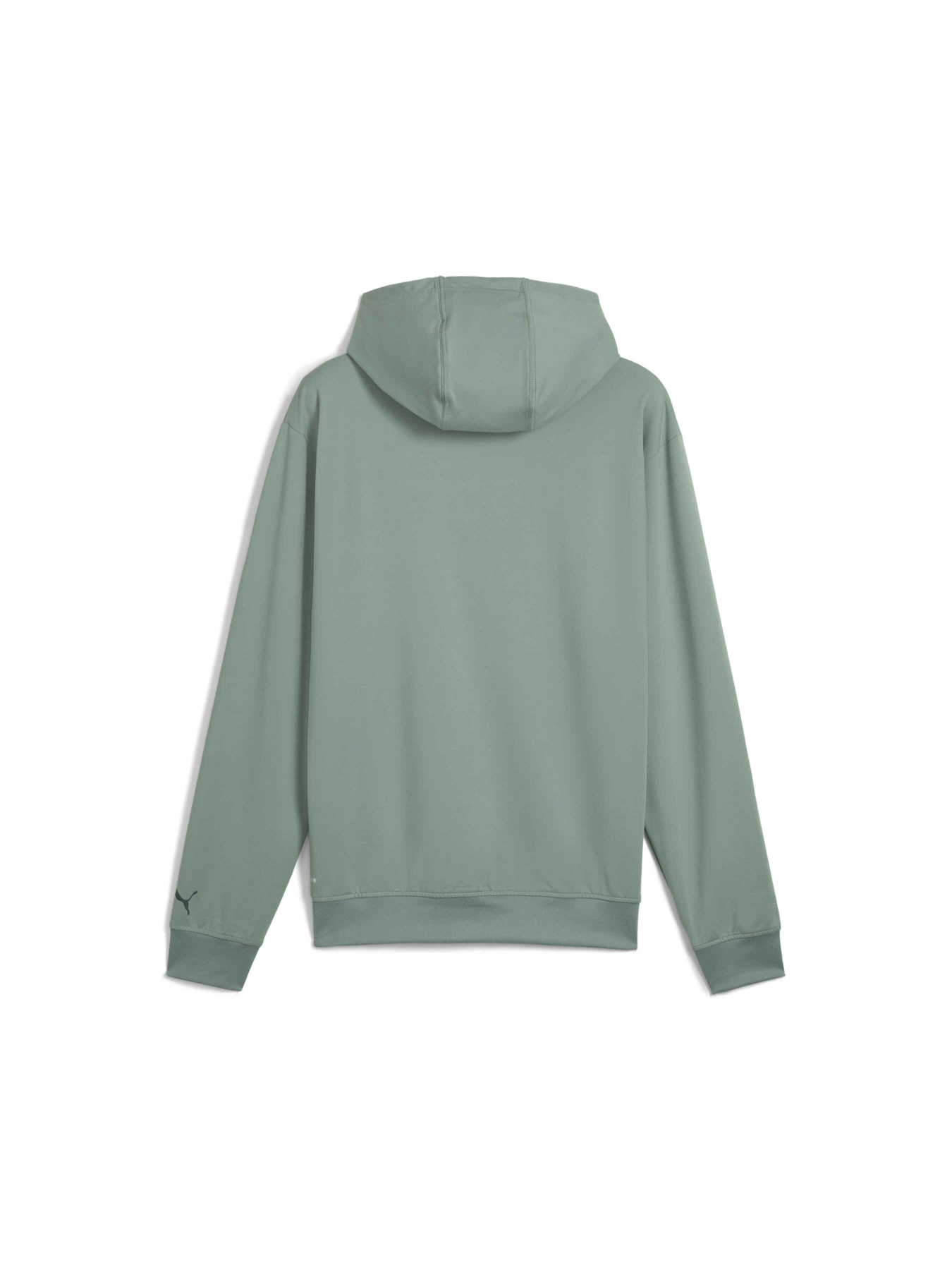 Худі PUMA Cloudspun Branded Hoodie модель 526678 Фото