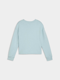 Світшот PUMA Power Crew модель 679361 Фото