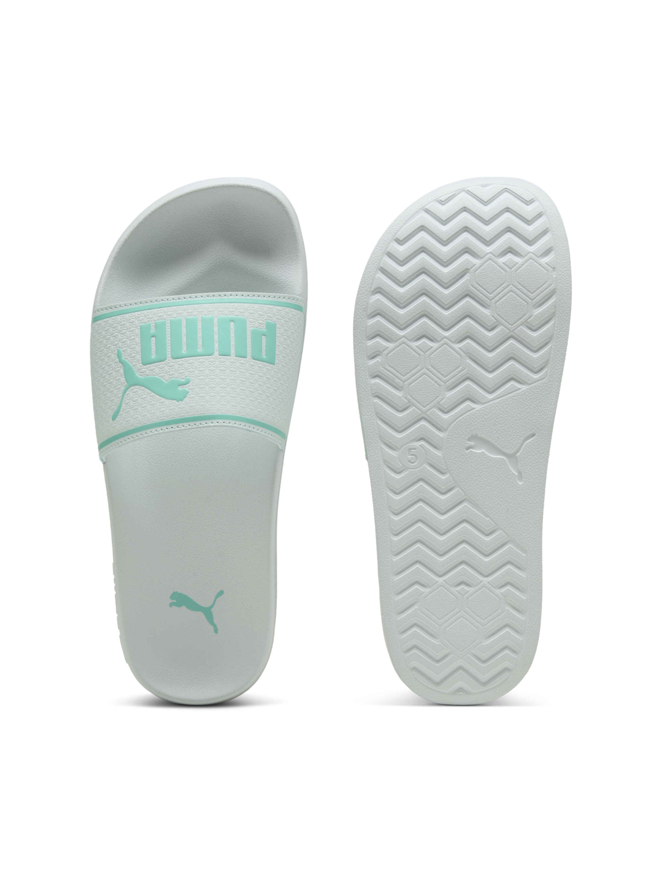 Шльопанці PUMA Leadcat 2.0 модель 384139 Фото