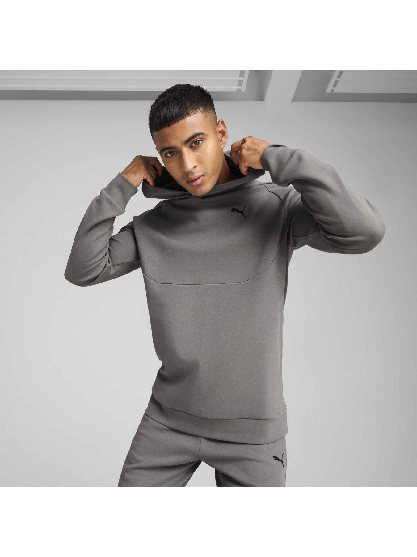Худи и свитшоты PUMA Tech Hoodie модель 684600 Фото