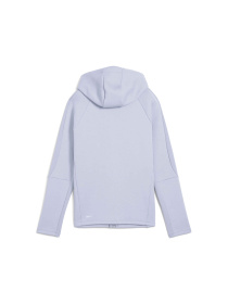 Спортивная кофта PUMA Evostripe Full-zip Hoodie модель 685050 Фото