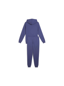 Спортивный костюм PUMA Hooded Sweat Suit модель 684855 Фото