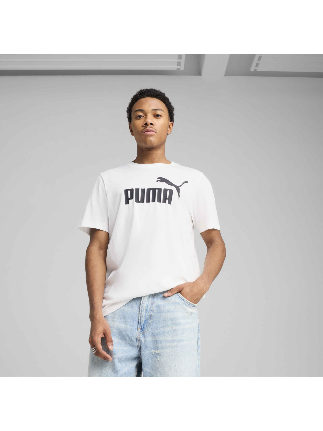 Футболка PUMA Ess No. 1 Logo Tee модель 682532 Фото