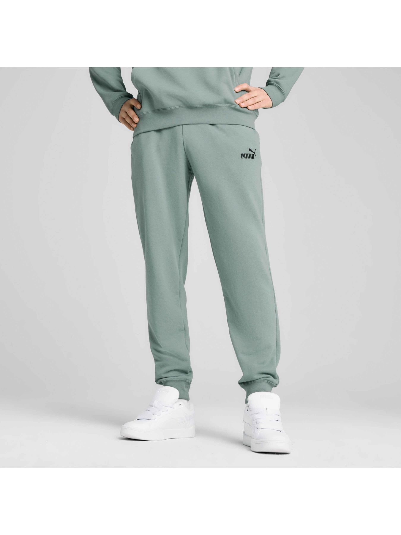 Штаны спортивные PUMA Ess No. 1 Logo Sweatpants модель 682609 Фото