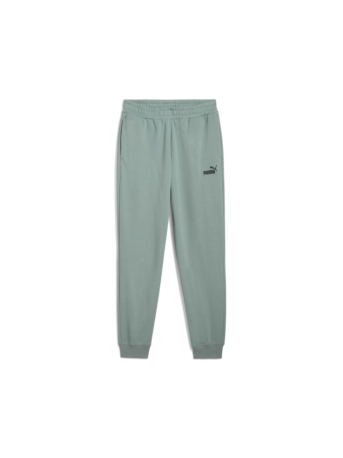 Штаны спортивные PUMA Ess No. 1 Logo Sweatpants модель 682609 Фото