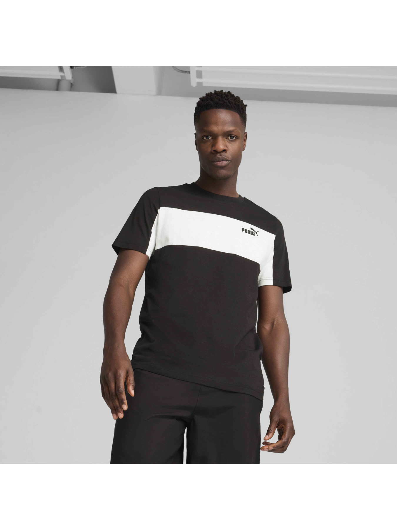 Футболка PUMA Ess Block Tee модель 684685 Фото