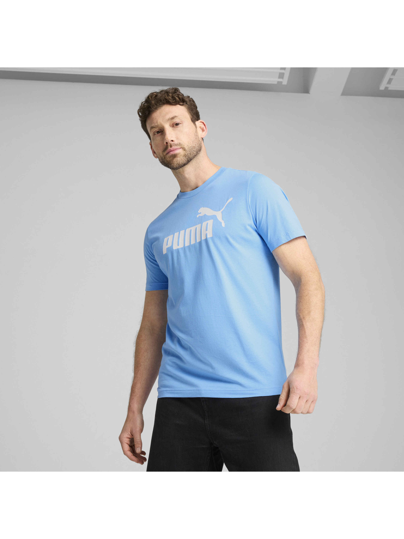 Футболка PUMA Ess No. 1 Logo Tee модель 682533 Фото
