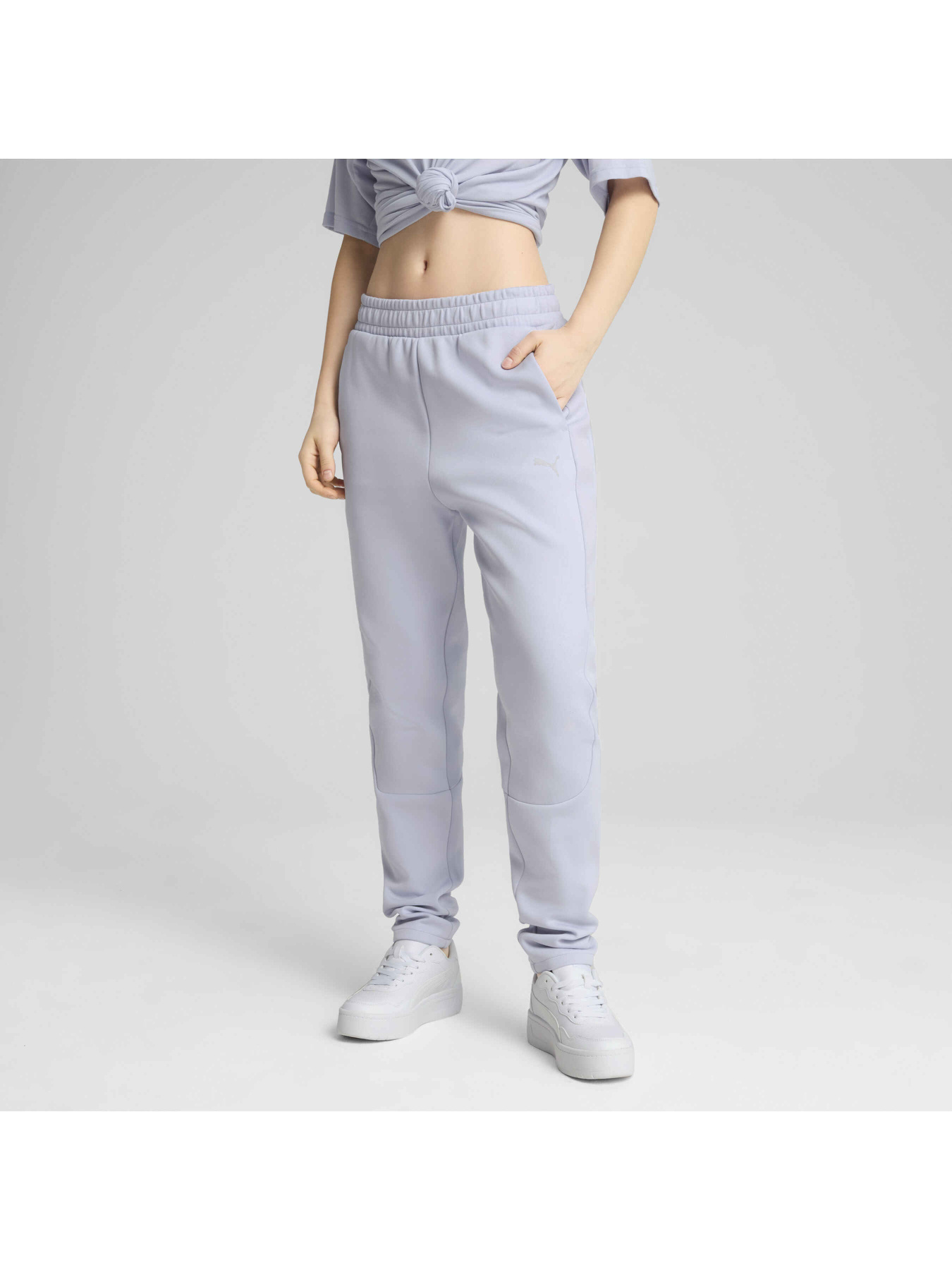 Штани спортивні PUMA Evostripe Sweatpants модель 685051 Фото
