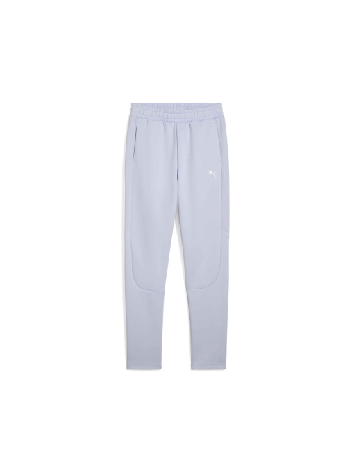 Штаны спортивные PUMA Evostripe Sweatpants модель 685051 Фото