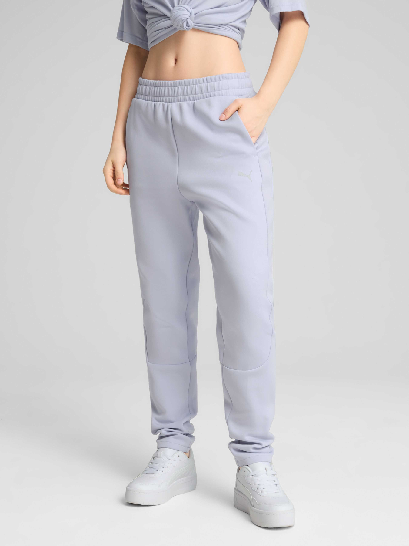 Штани PUMA Evostripe Sweatpants модель 685051 Штани PUMA Evostripe Sweatpants модель 685051 Фото