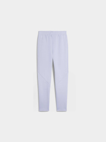 Штани PUMA Evostripe Sweatpants модель 685051 Фото