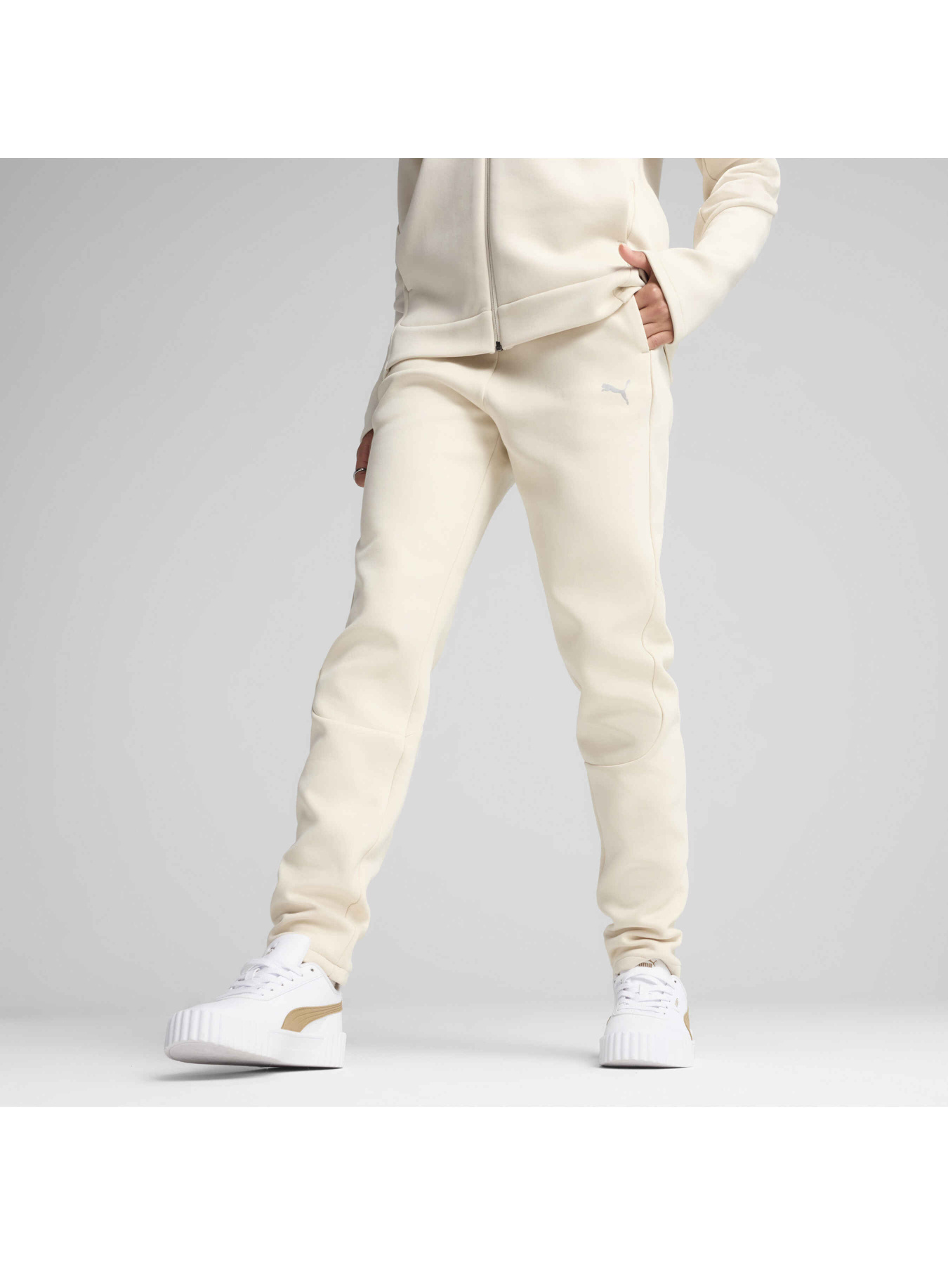 Штаны спортивные PUMA Evostripe Sweatpants модель 685051 Фото