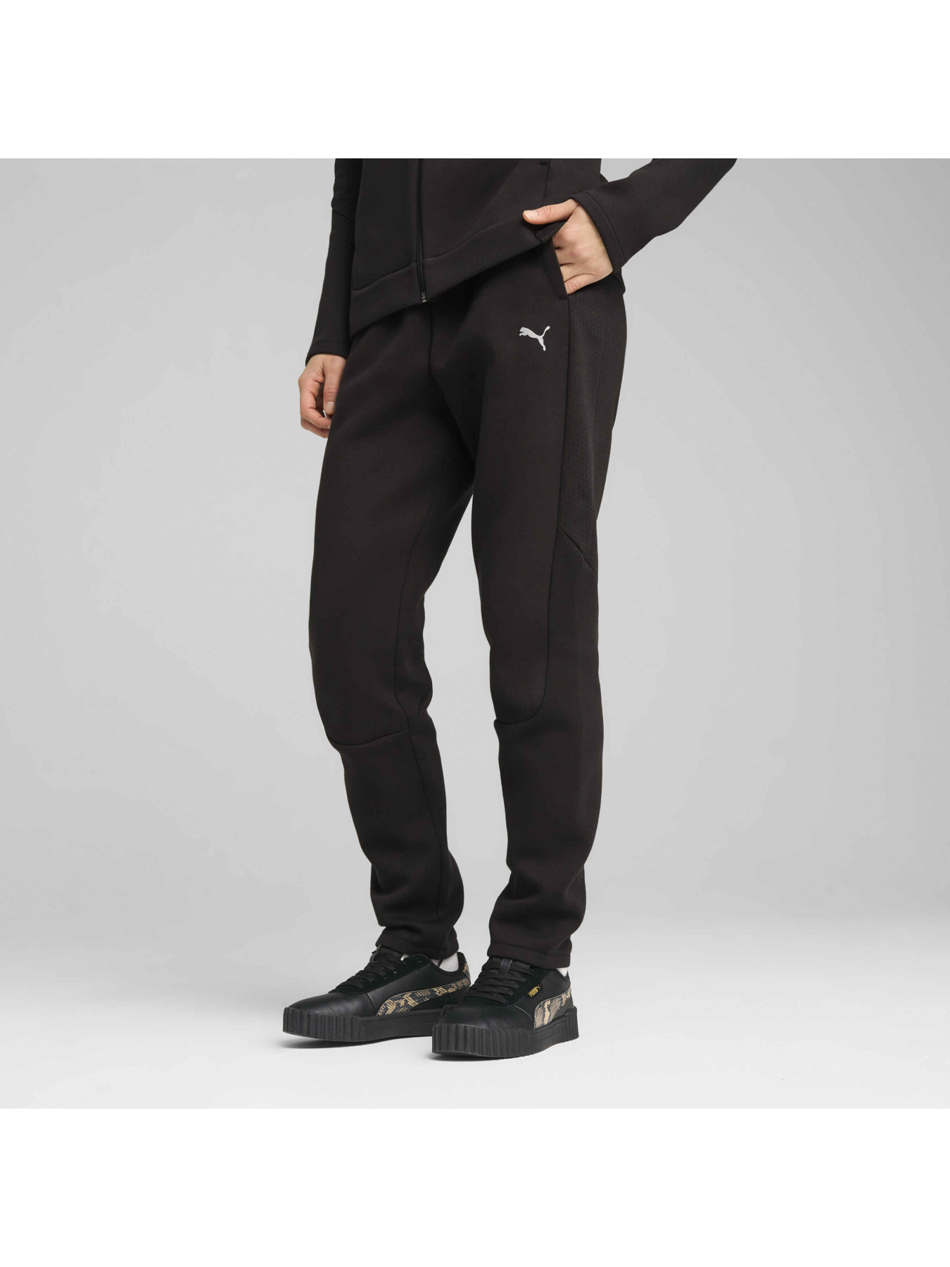 Штаны спортивные PUMA Evostripe Sweatpants модель 685051 Фото