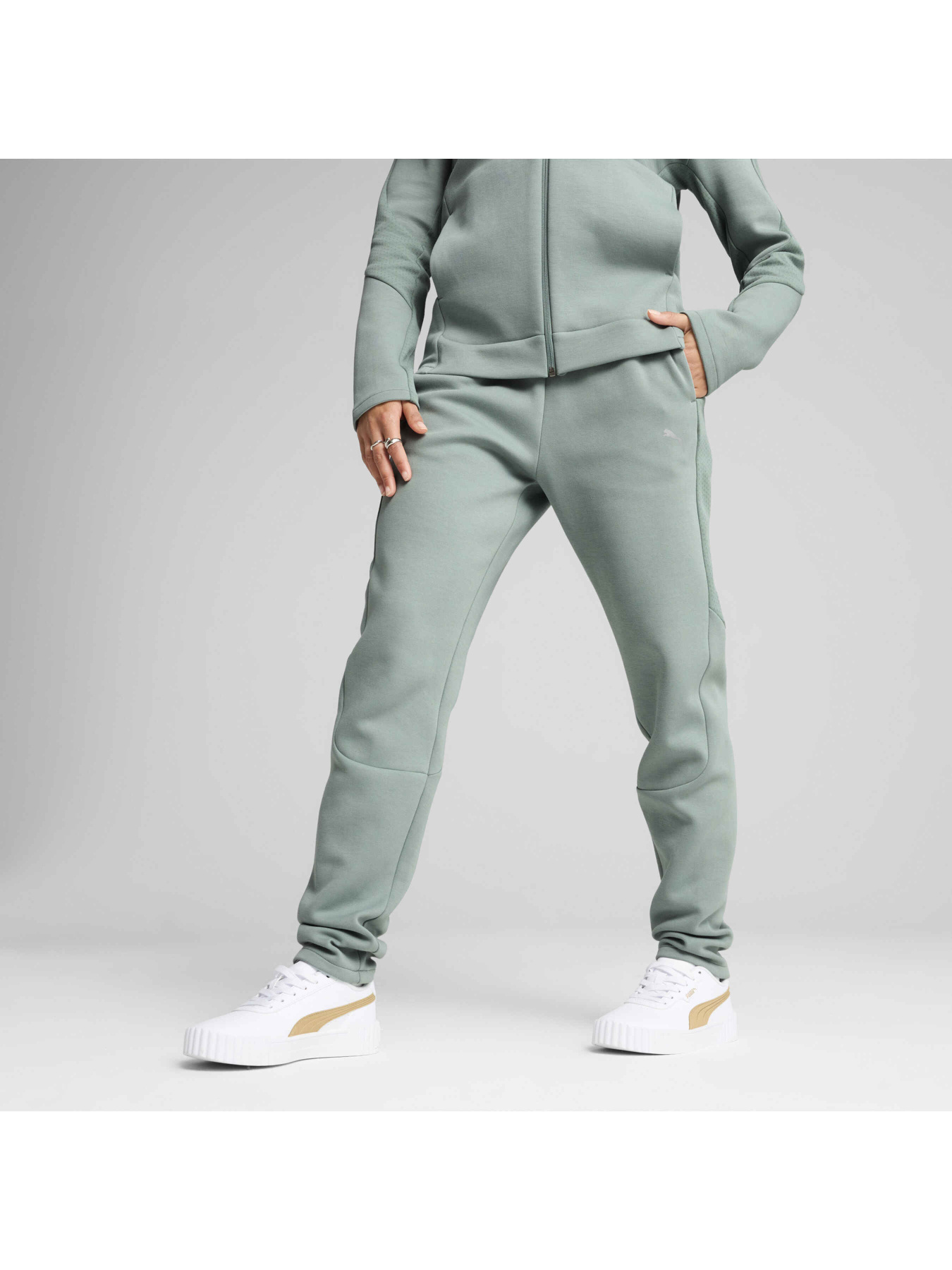 Штаны спортивные PUMA Evostripe Sweatpants модель 685051 Фото