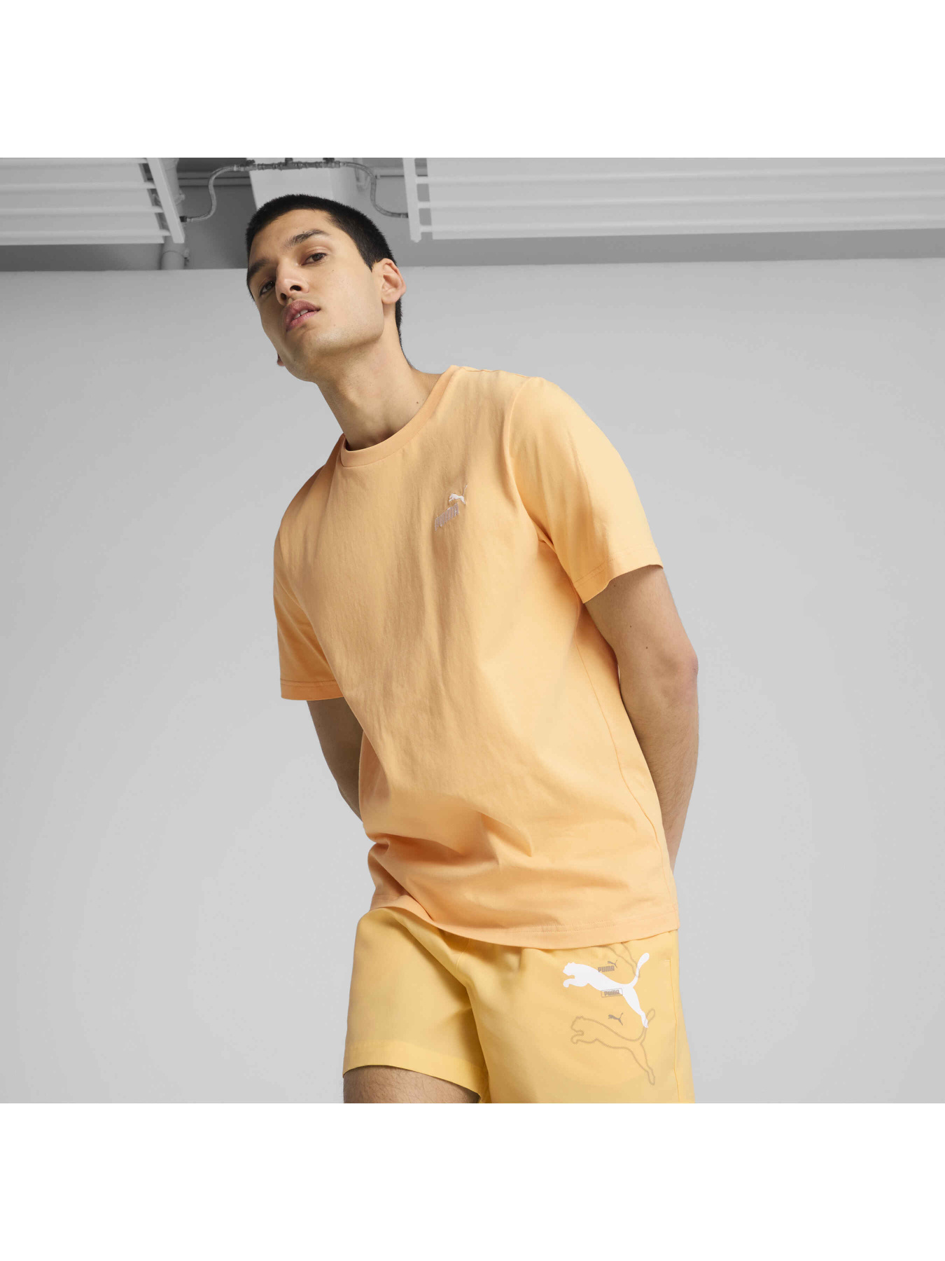 Футболка PUMA Ess Small No. 1 Logo Tee модель 682535 Фото