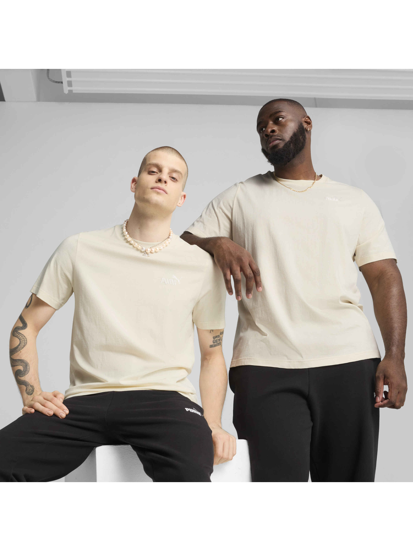 Футболка PUMA Ess Small No. 1 Logo Tee модель 682535 Фото