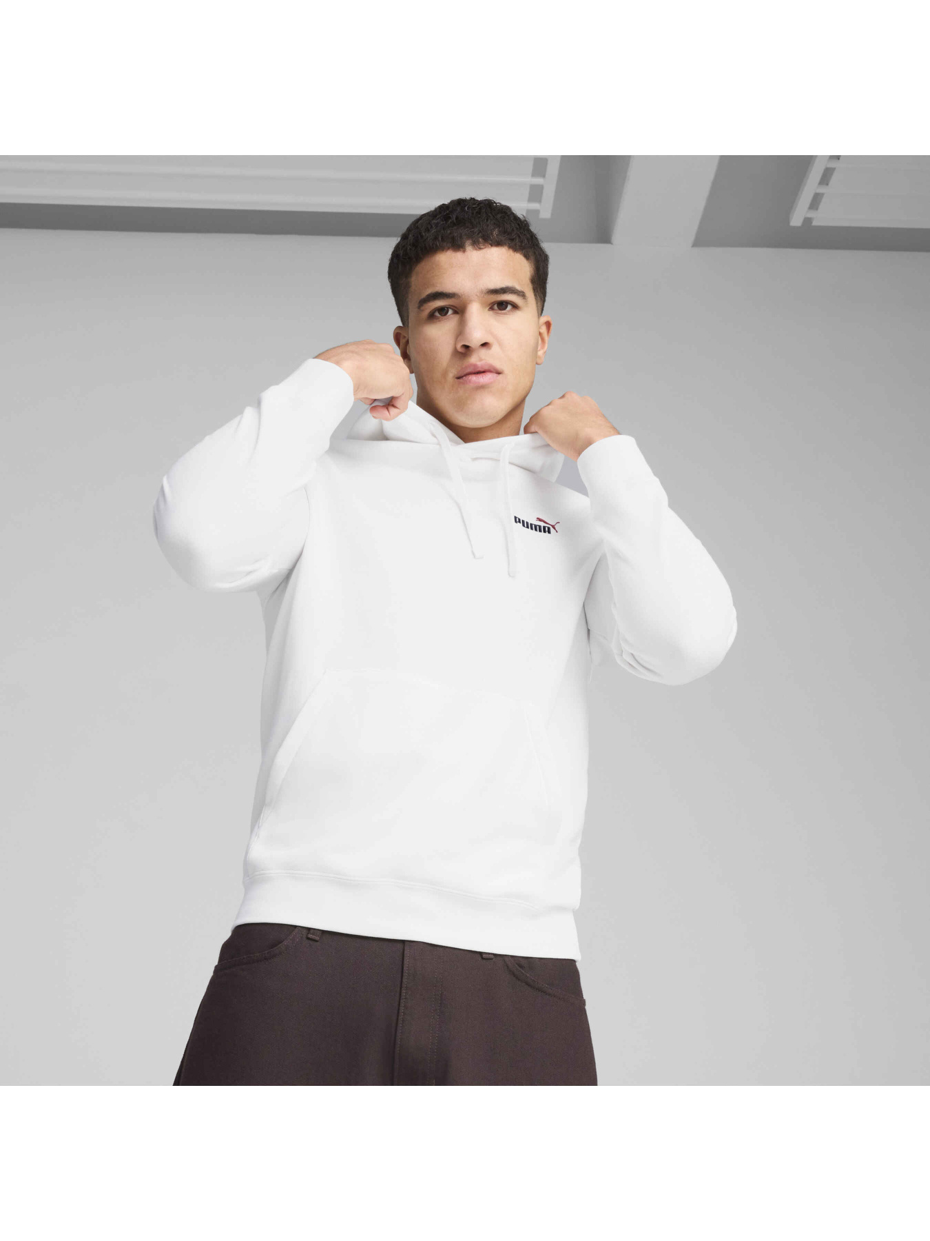 Худи PUMA Ess 2 Color Logo Hoodie модель 684719 Фото