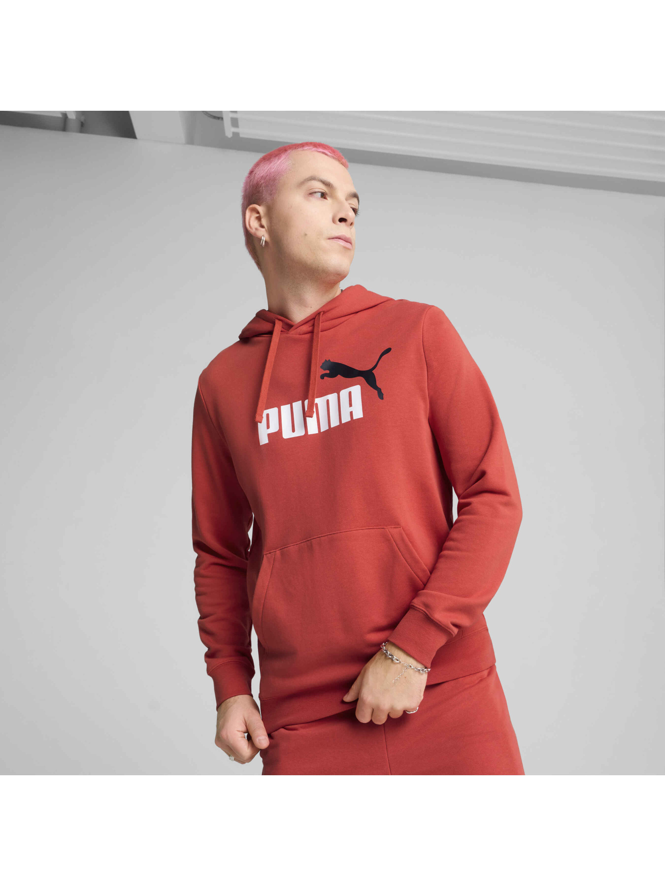 Худи PUMA Ess 2 Color Logo Hoodie модель 684712 Фото