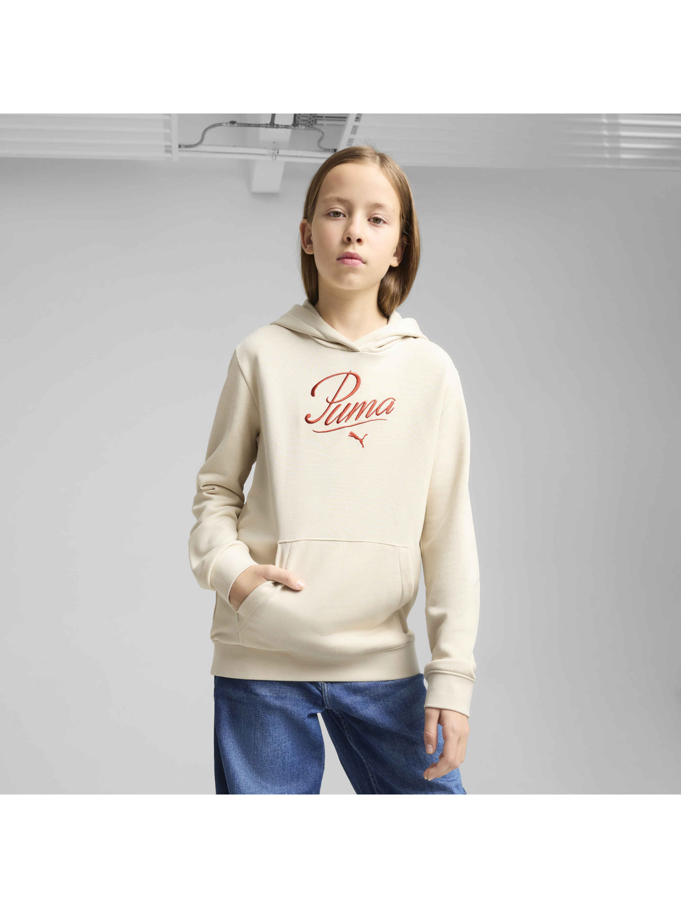 Худі PUMA Ess Script Hoodie модель 685806 Фото