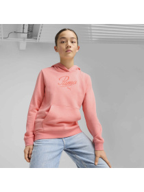 Худі PUMA Ess Script Hoodie модель 685806 Фото