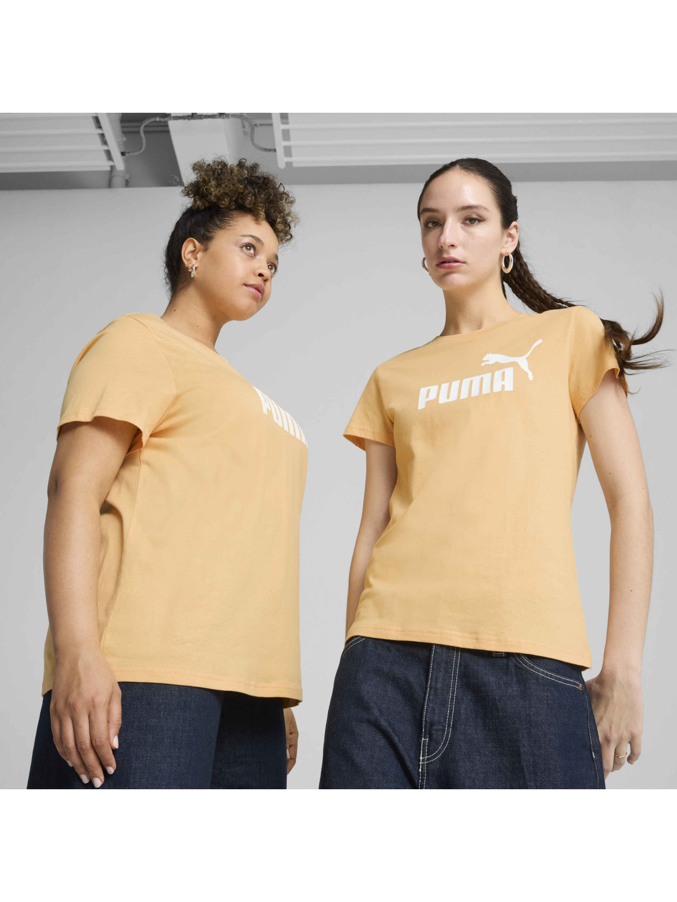 Футболка PUMA Ess No. 1 Logo Tee модель 682371 Фото