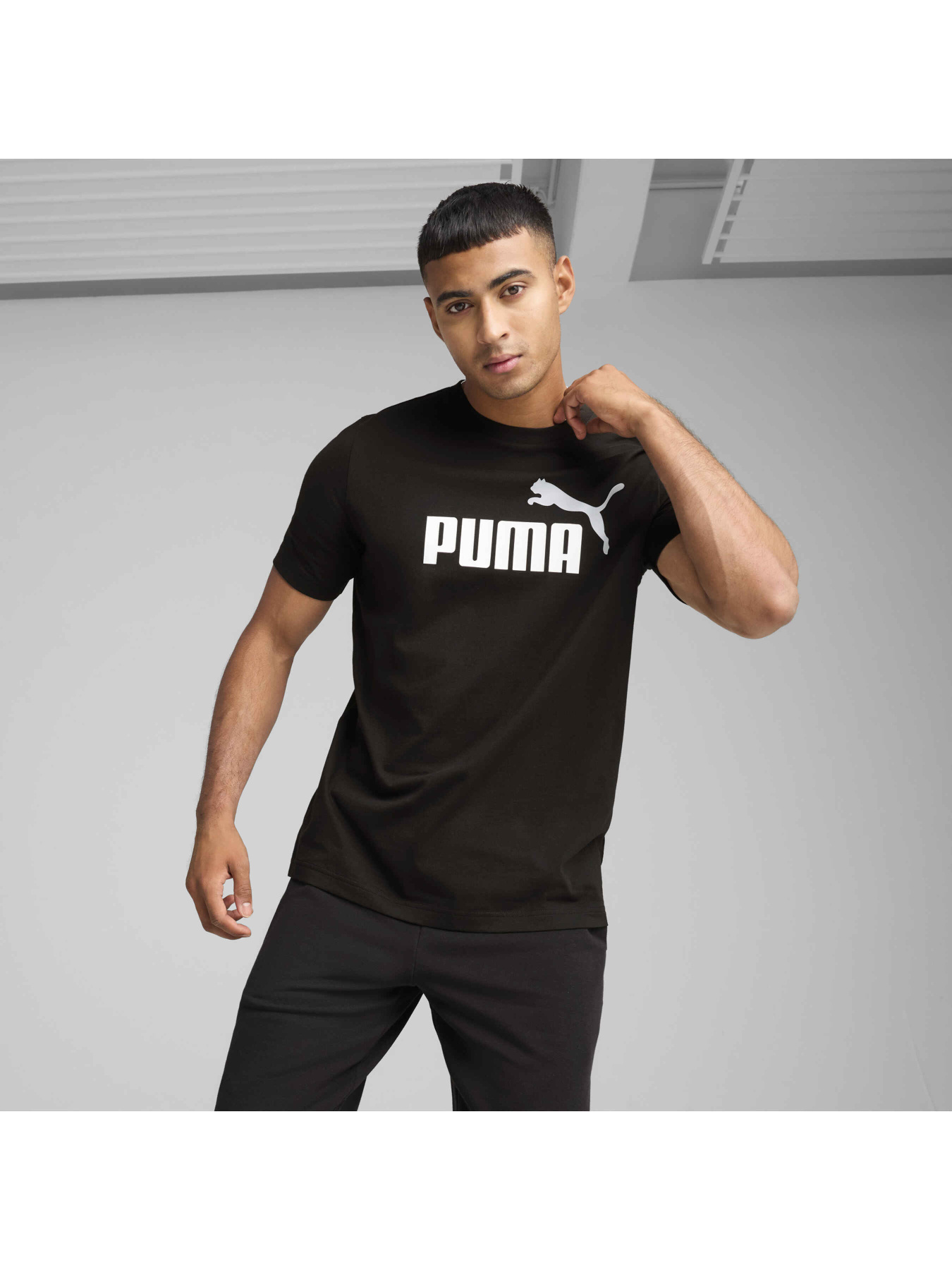 Футболка PUMA Ess 2 Color No. 1 Logo Tee модель 684708 Футболка PUMA Ess 2 Color No. 1 Logo Tee модель 684708 Фото