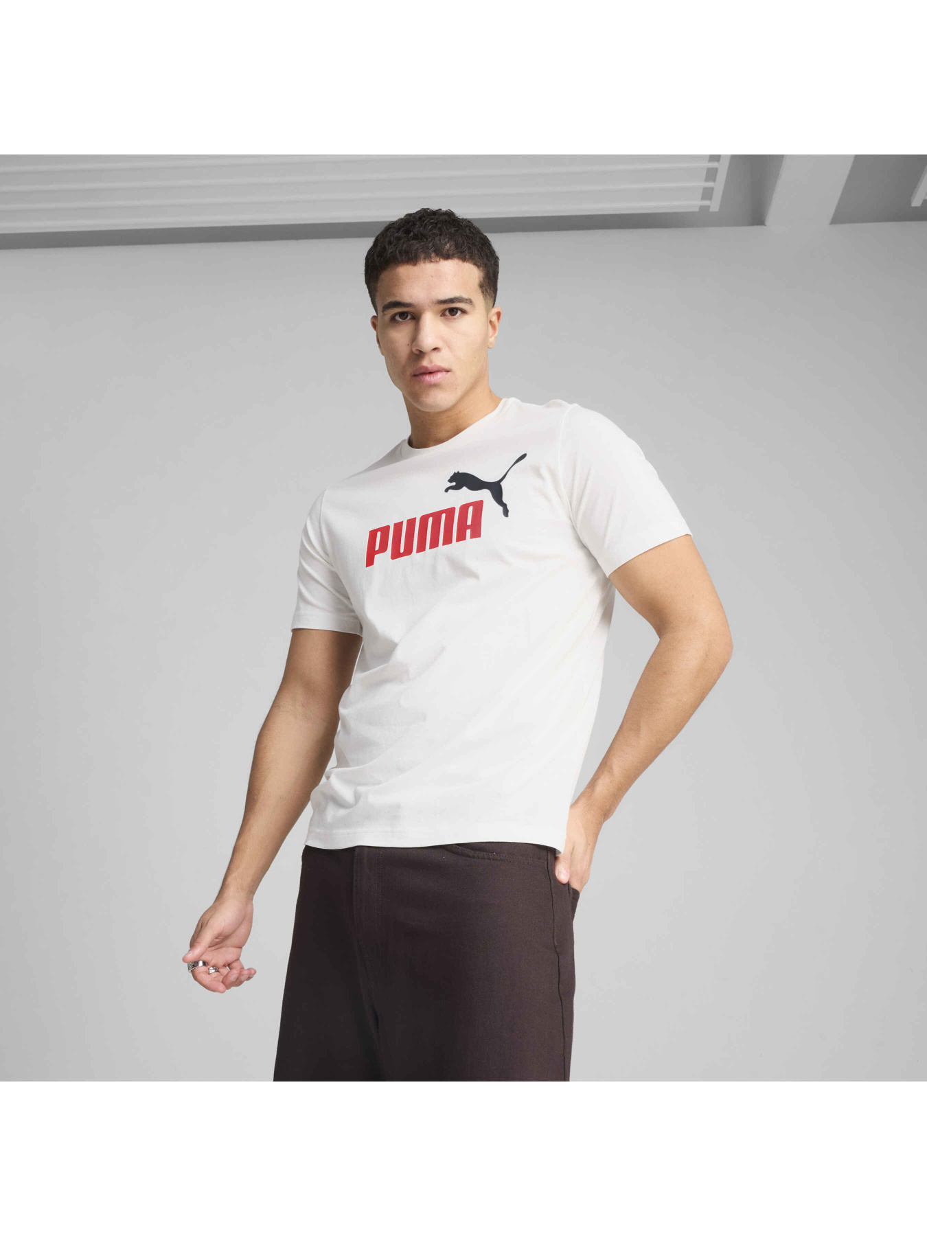 Футболка PUMA Ess 2 Color No. 1 Logo Tee модель 684708 Футболка PUMA Ess 2 Color No. 1 Logo Tee модель 684708 Фото