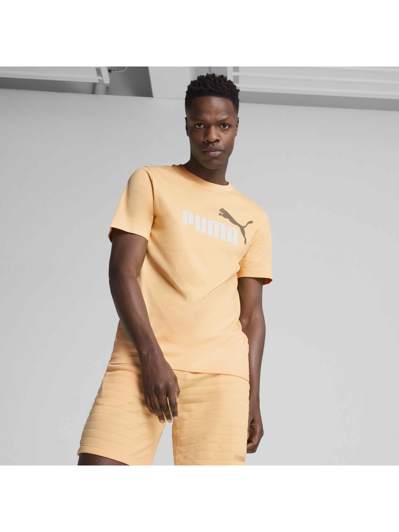 Футболка PUMA Ess 2 Color No. 1 Logo Tee модель 684708 Фото