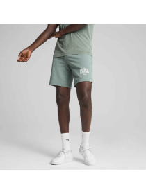 Шорты спортивные PUMA Class Shorts модель 684653 Фото