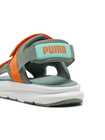 Сандалии PUMA Evolve Sandal Ps модель 389147 Фото