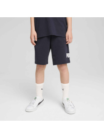 Шорты спортивные PUMA Ess No. 1 Logo Shorts Tr модель 684918 Фото