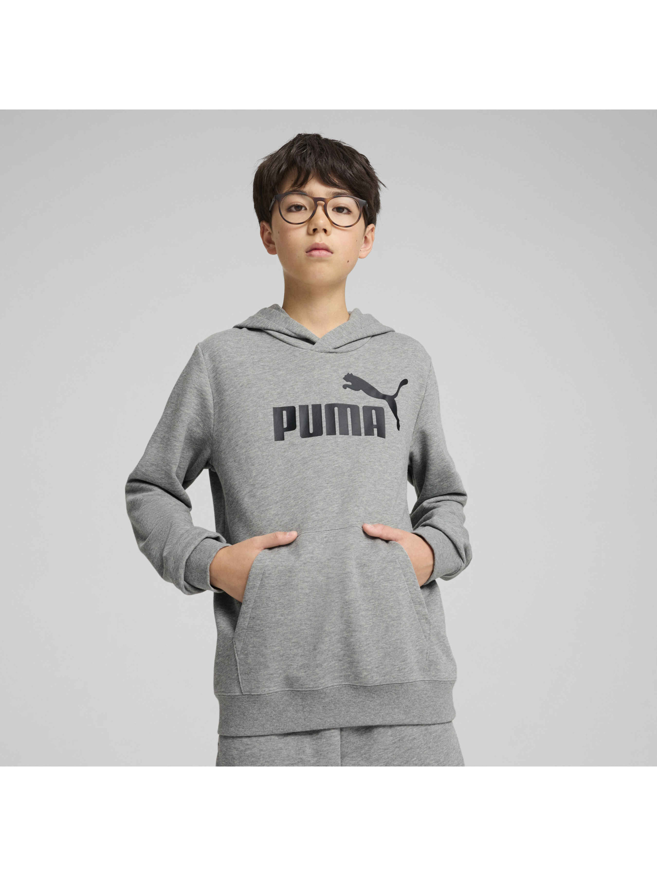 Худі PUMA Ess No. 1 Logo Hoodie Tr модель 684909 Фото