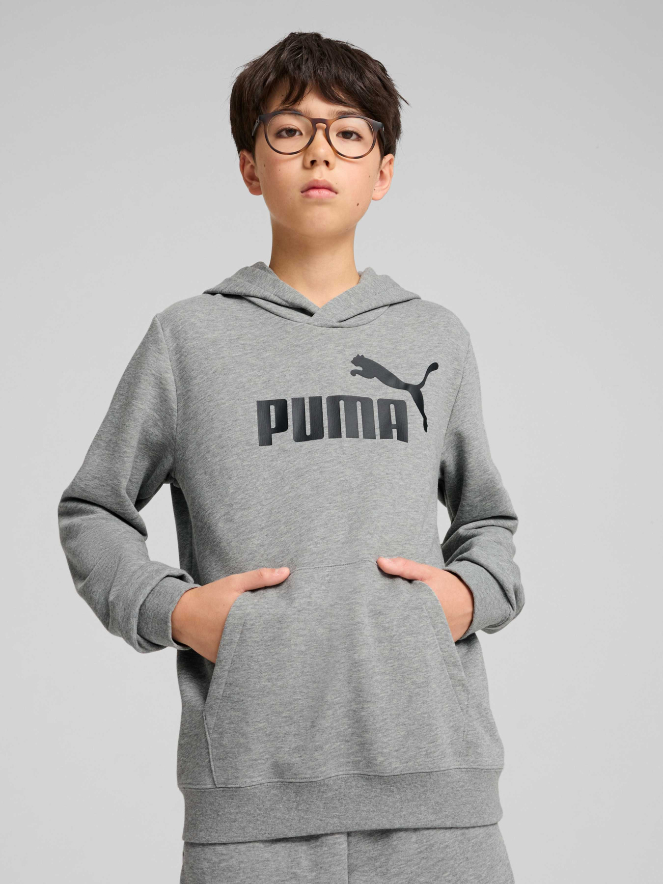 Худі PUMA Ess No. 1 Logo Hoodie Tr модель 684909 Фото