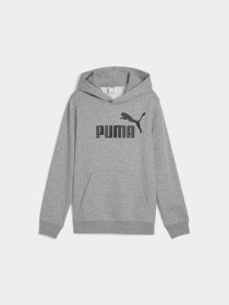 Худи и свитшоты PUMA Ess No. 1 Logo Hoodie Tr модель 684909 Фото
