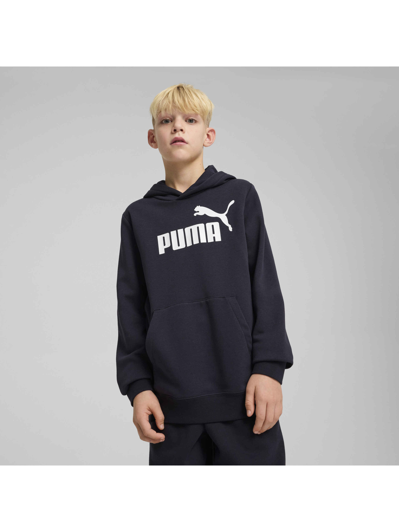 Худі PUMA Ess No. 1 Logo Hoodie Tr модель 684909 Фото