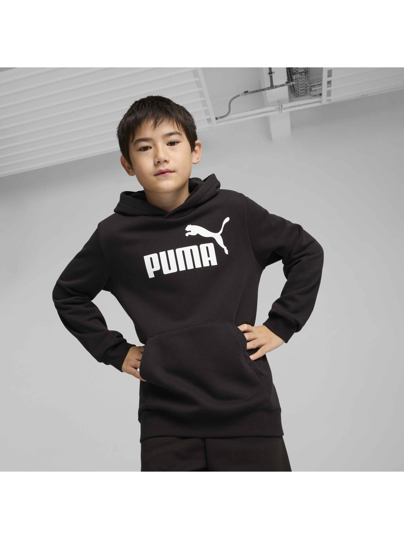 Худи и свитшоты PUMA Ess No. 1 Logo Hoodie Tr модель 684909 Фото