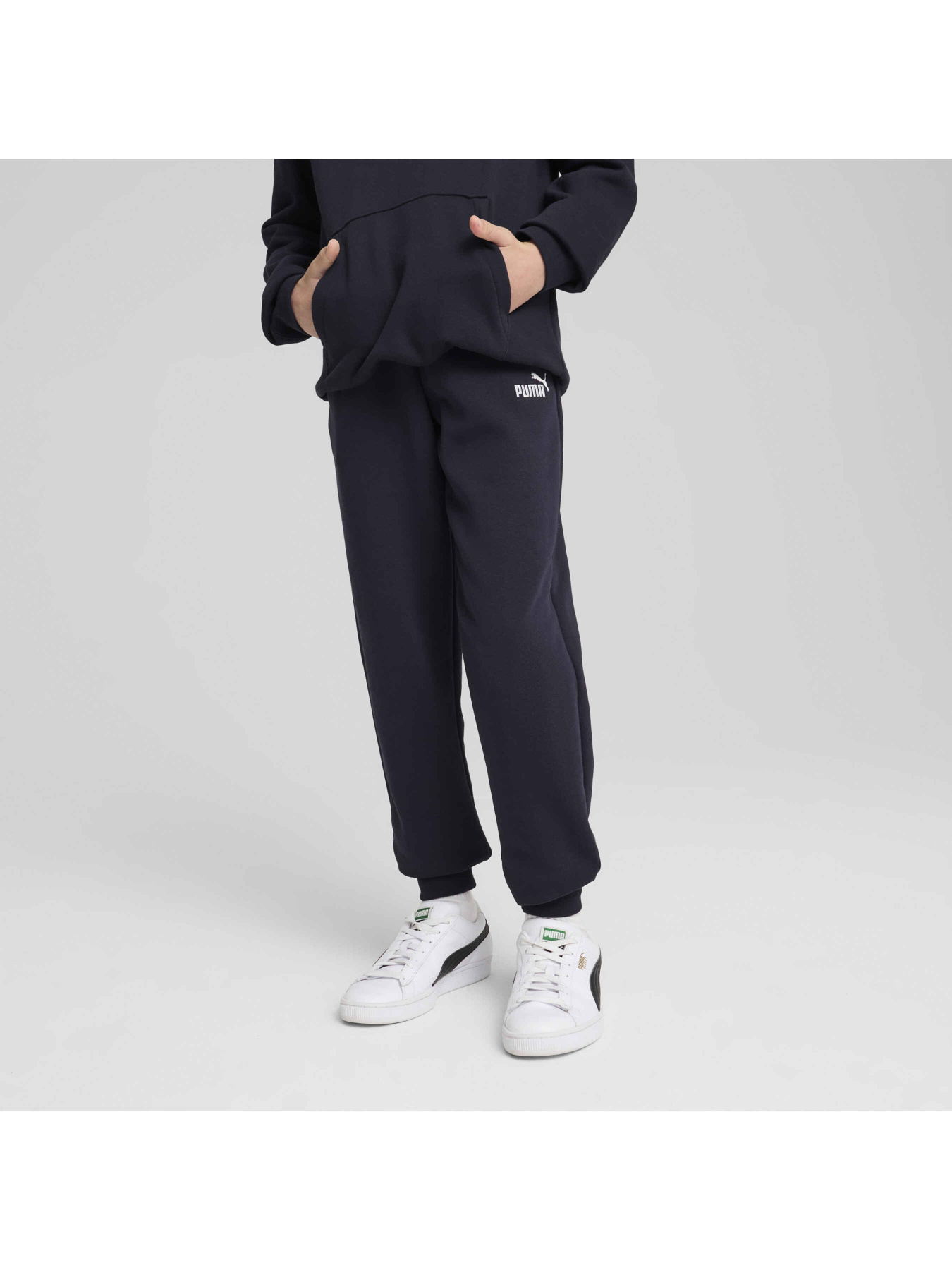 Штани спортивні PUMA Ess No. 1 Logo Sweatpants Tr модель 684914 Фото