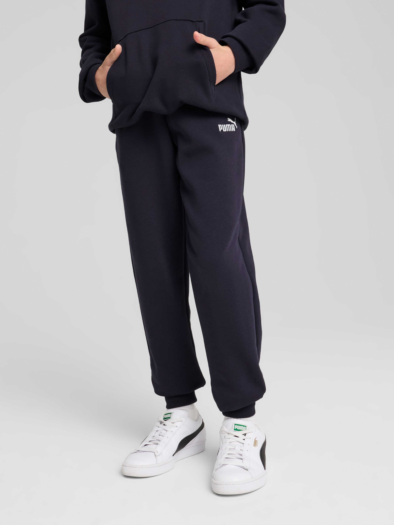 Штаны спортивные PUMA Ess No. 1 Logo Sweatpants Tr модель 684914 Фото